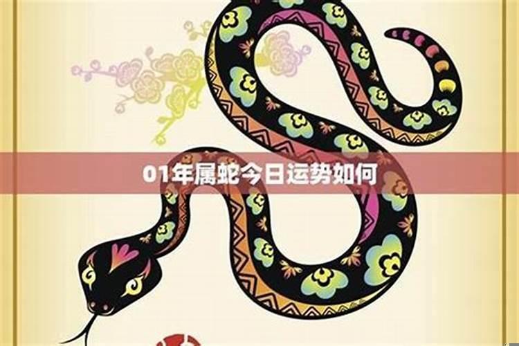 属蛇的今年可以投资不，运气怎么样