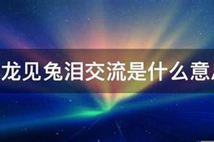 龙见兔子云端游