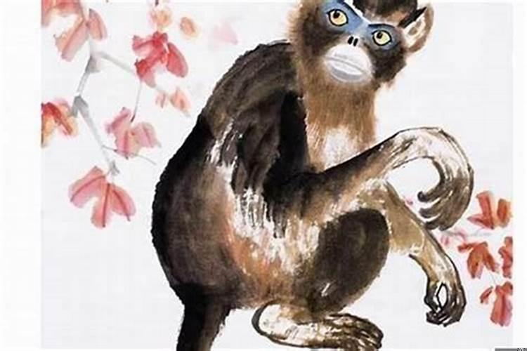 56年出生的猴是什么猴