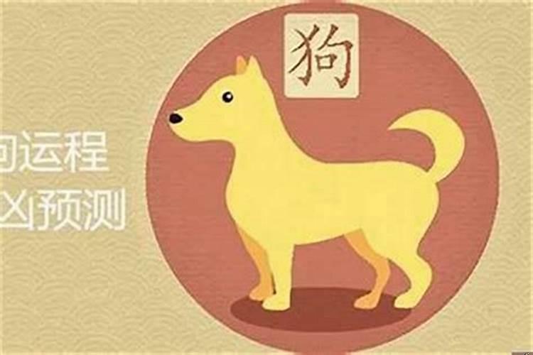 94年属狗的今年有桃花运吗