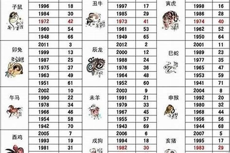 22年什么命年