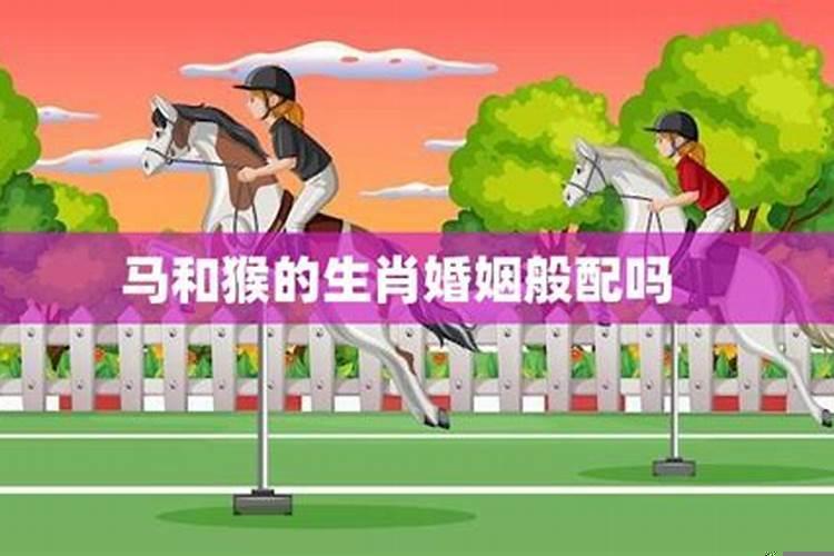 婚姻般配测算