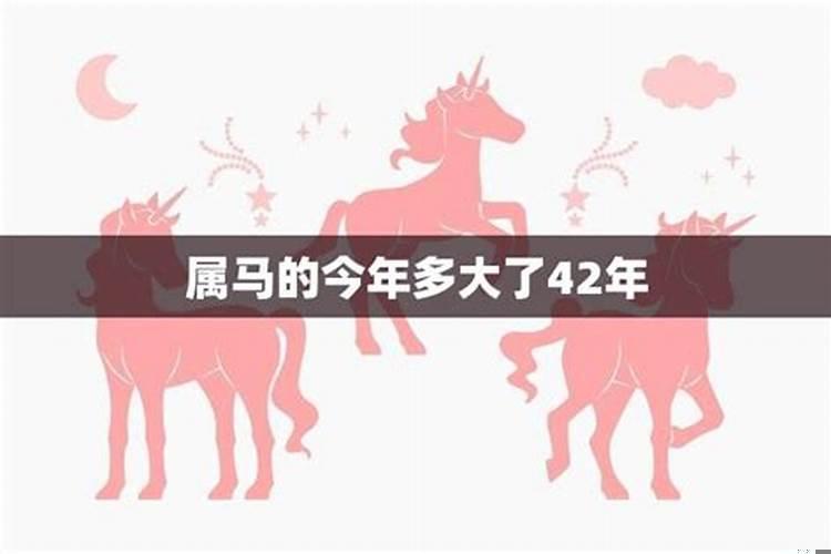 最小的马多少岁