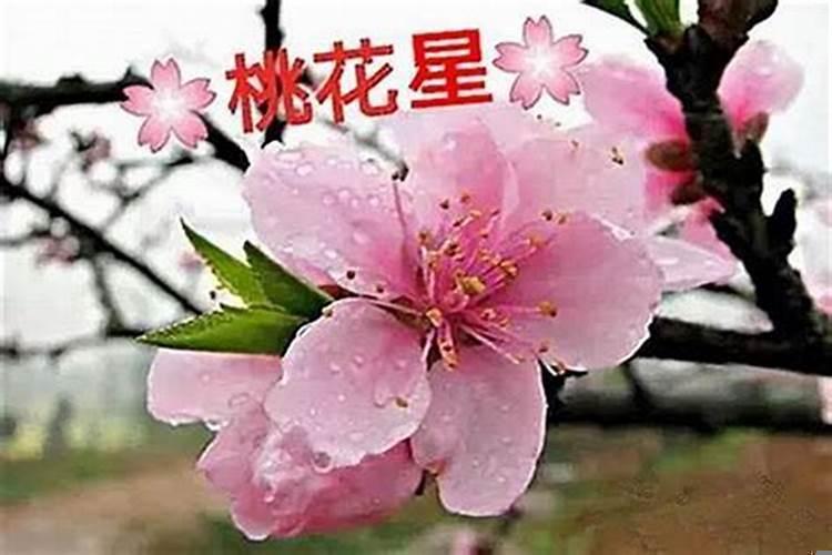 八字中如何看桃花