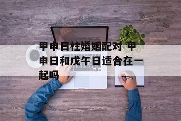 戊辰日柱最佳婚配