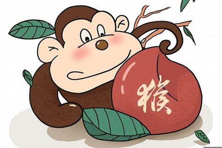 男属猴和女属龙的合不合