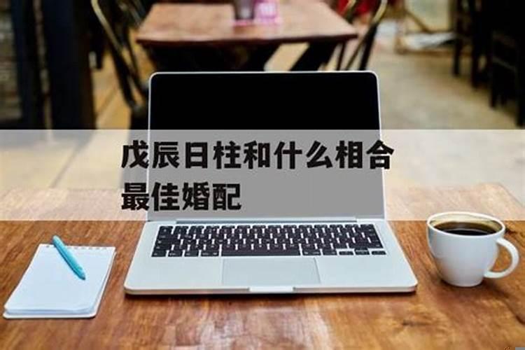 戊辰日柱最佳婚配