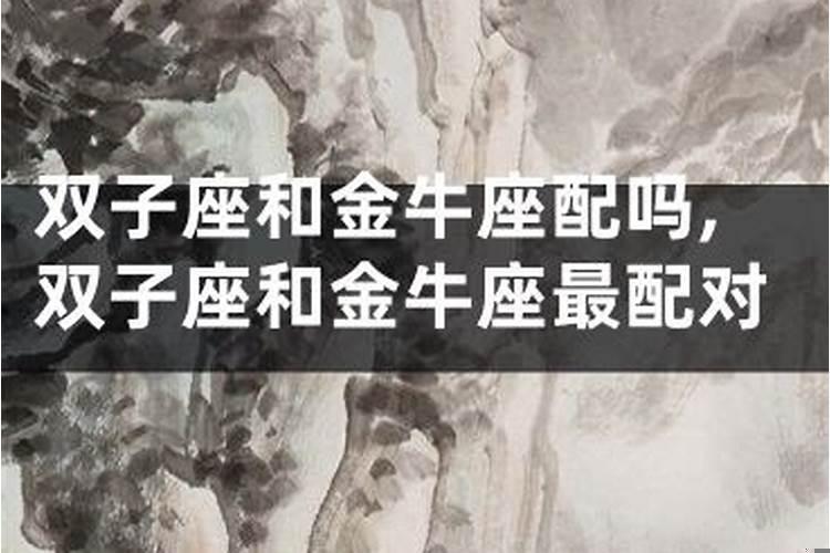 双子座和金牛座配对指数