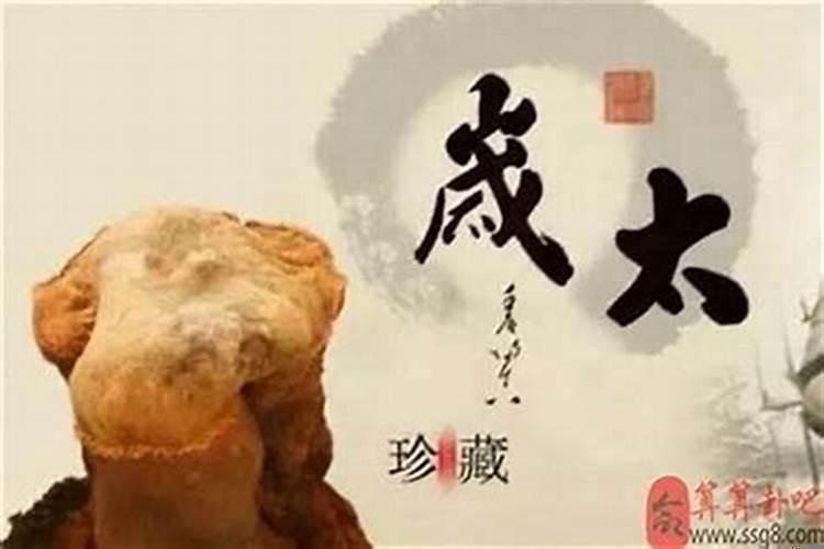 怎么看自己是否犯太岁