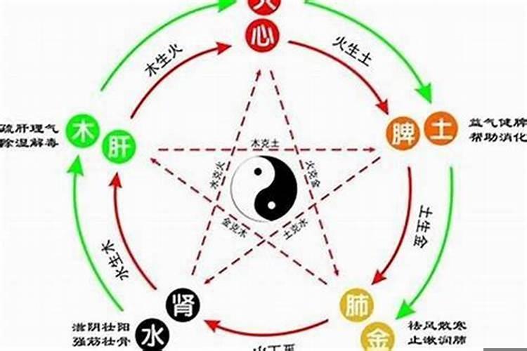 1988年龙五行缺什么