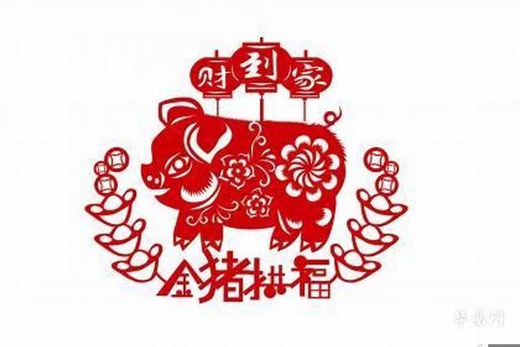 属猪是土命还是木命