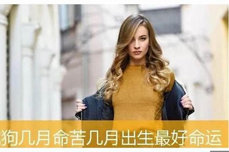 女孩子属狗几月出生命苦