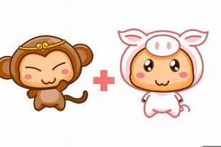 生肖猪和猴配吗