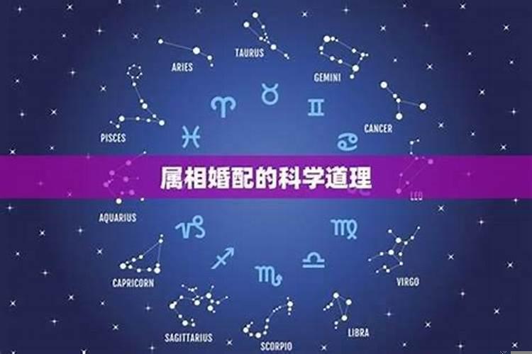 婚姻属相配对有科学道理吗