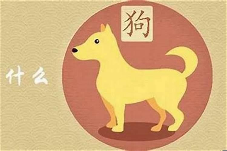 属猪女和属狗男生什么属相的宝宝好