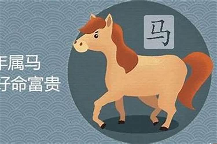 一生好运的生肖是什么