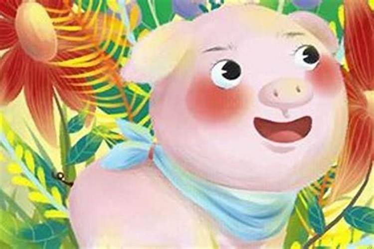 女的属鸡男的属猪生个什么宝宝最好