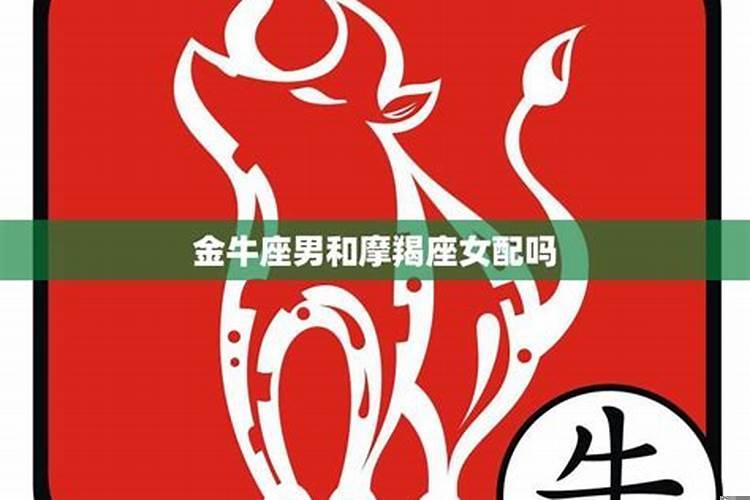 摩羯座和金牛座相处的来吗