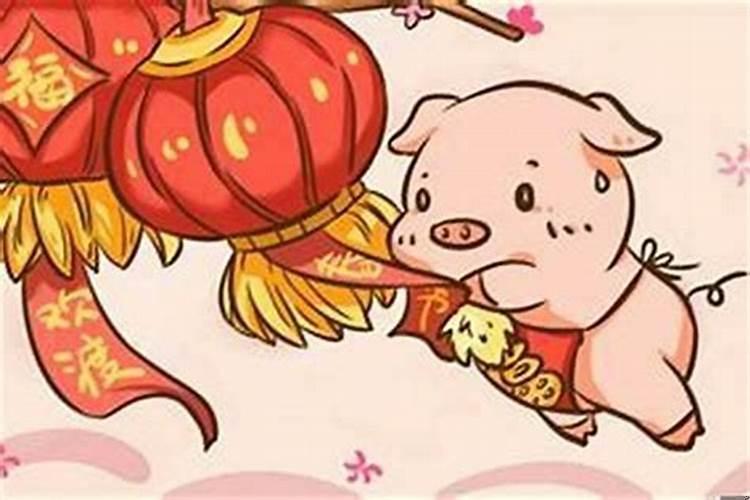 属鼠的跟属猪的合不合适