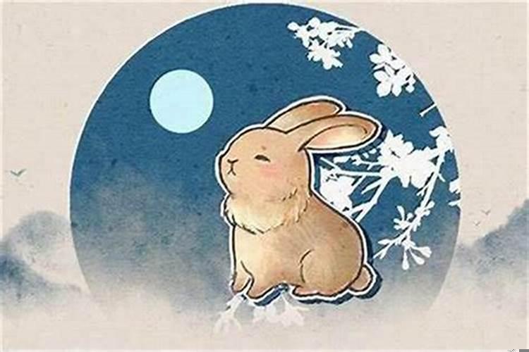 属兔男生几月出生好