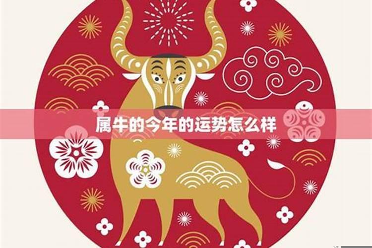 97年属牛的运势怎么样2025
