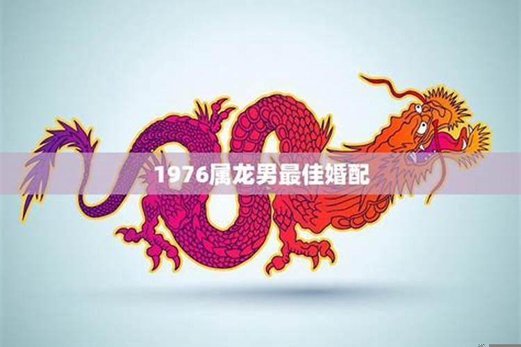 属龙男和什么属相最相配