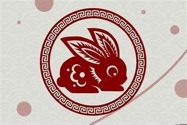 属兔女出生几月好