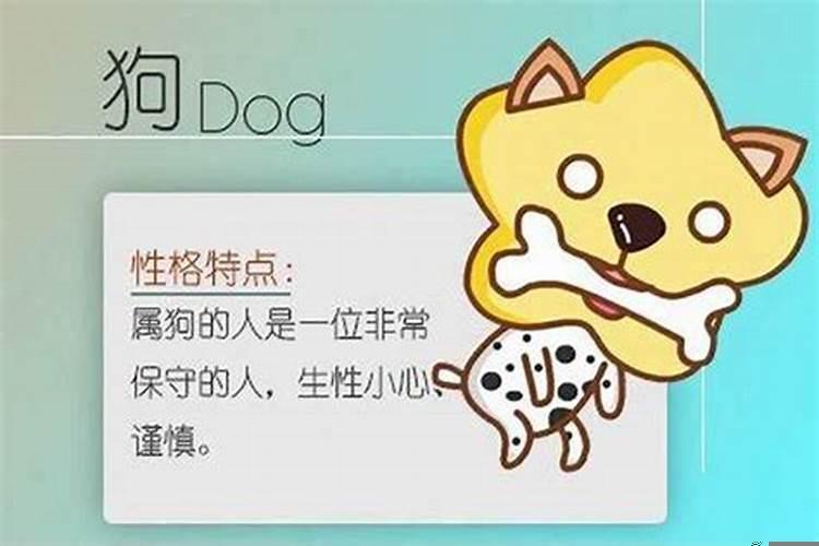 属龙和属狗相冲是什么意思