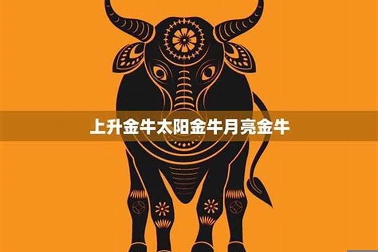 上升双子和上升金牛合适吗