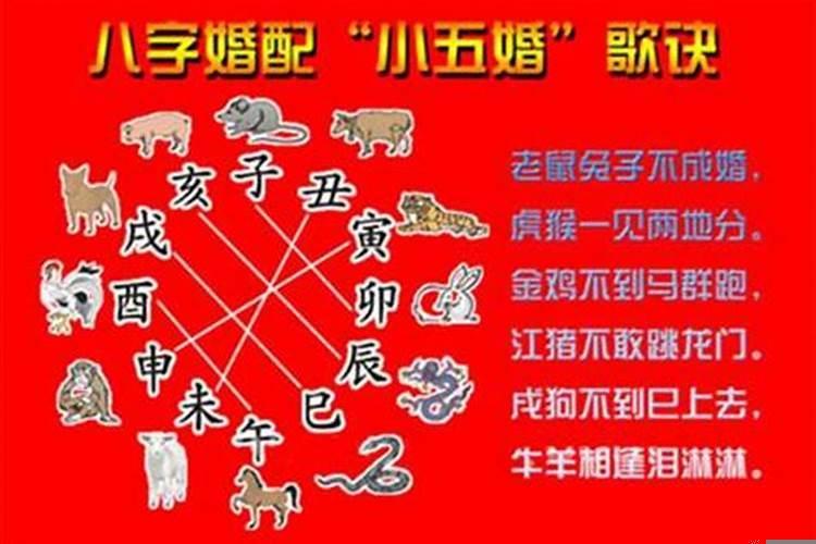 贵人在十二生肖里指的什么生肖