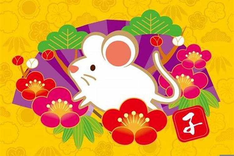 生肖鼠的好朋友