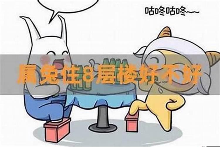 属兔属蛇的住几楼好