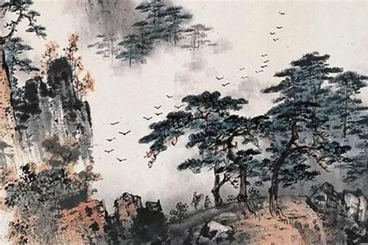 属兔的卧室在西南