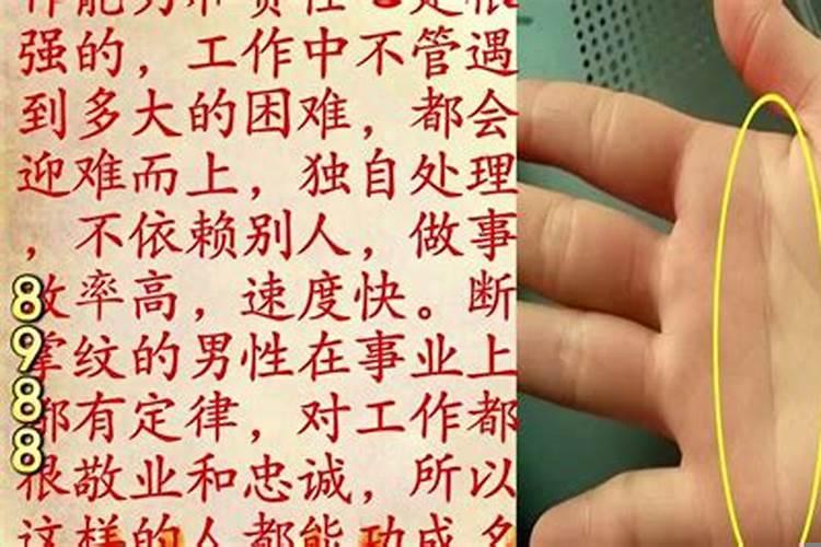断掌手相学