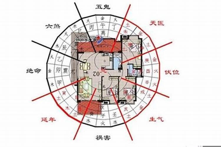 房子是指什么生肖