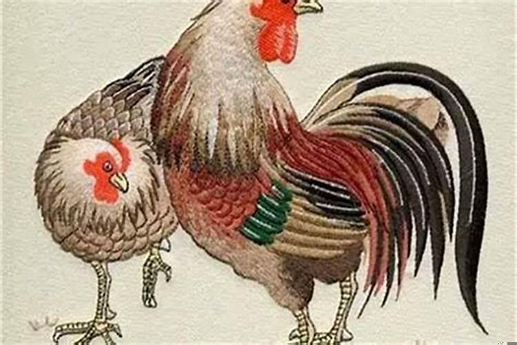 女的属鸡男的属猪生个什么宝宝最好