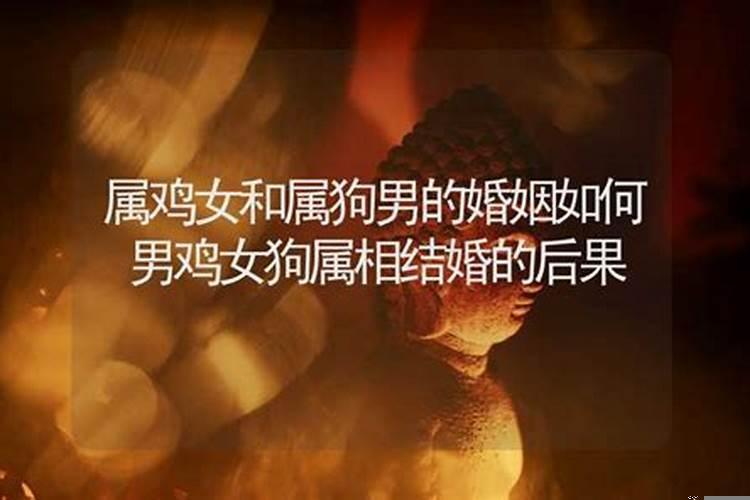 男属鸡女狗可不可以