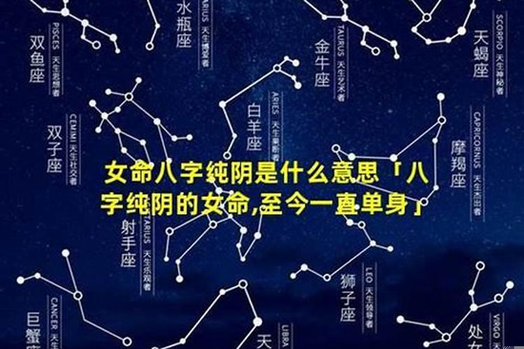 八字纯阴女财运