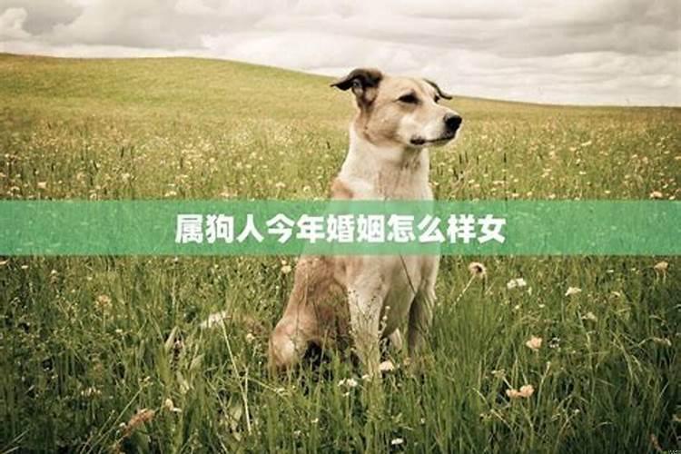 狮子座10月26日运势