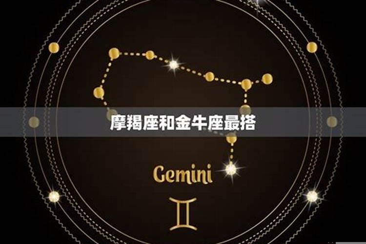 摩羯座和金牛座相处的来吗