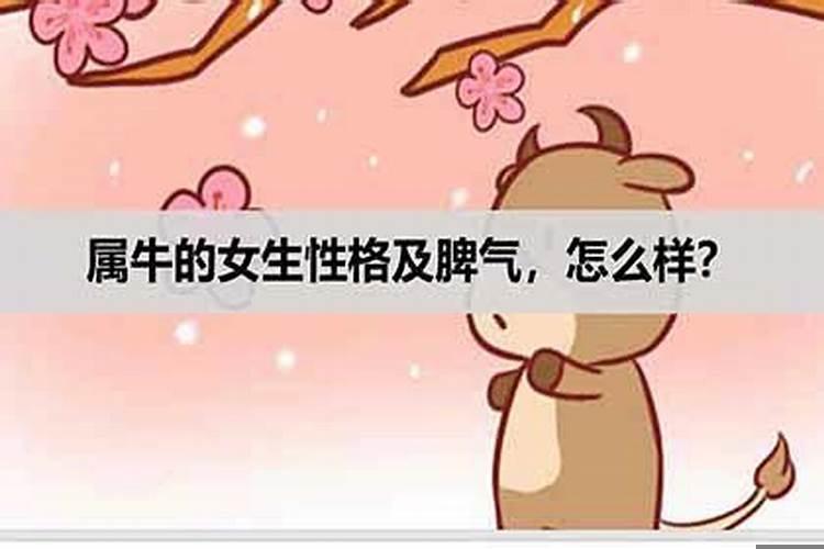 属牛的什么性格脾气