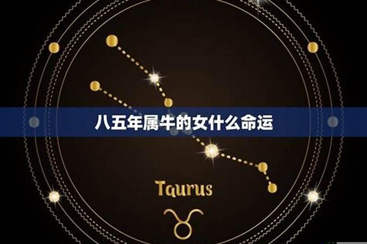 八五年属牛缺什么五行