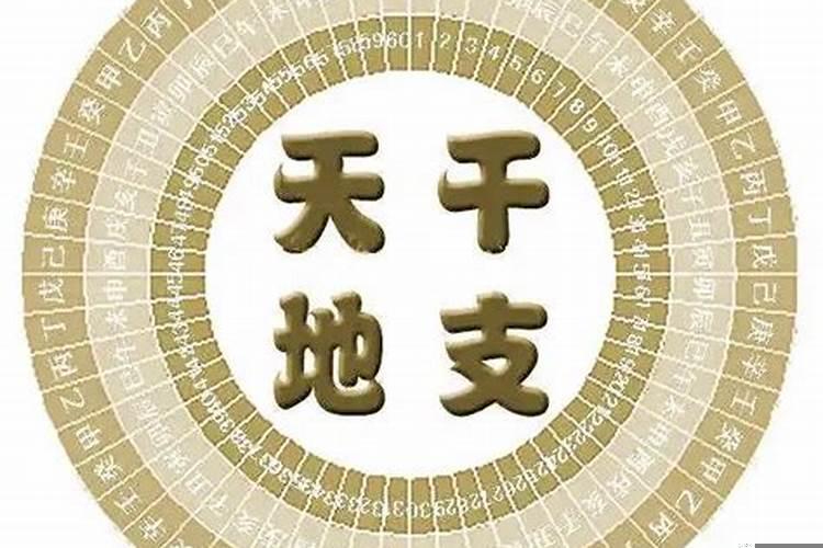 偏财是指什么财