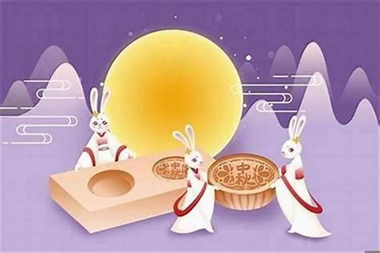 属兔住几层好吗