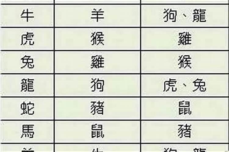 女兔跟男牛属相婚配如何