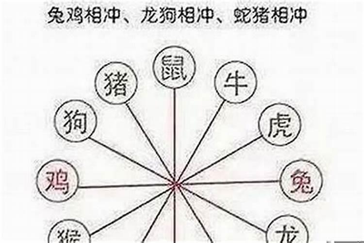 属虎的跟属什么的相冲