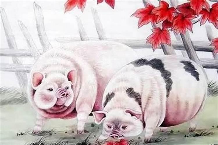 属猪和什么属相最合适最合财运的生肖
