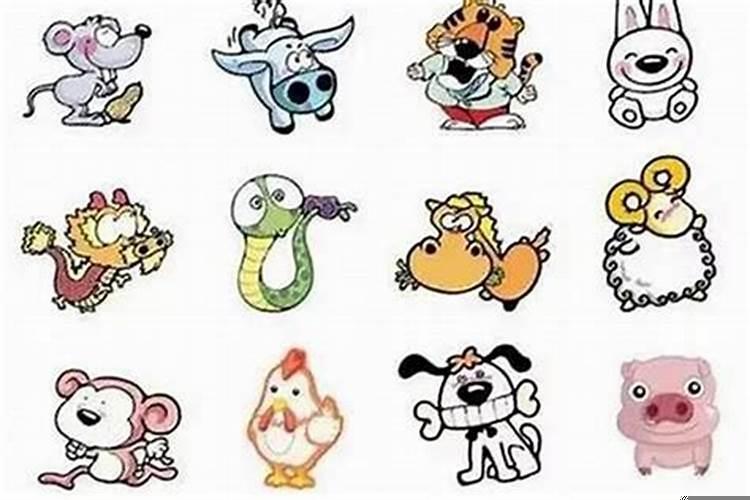 1980年属猴一生财运如何