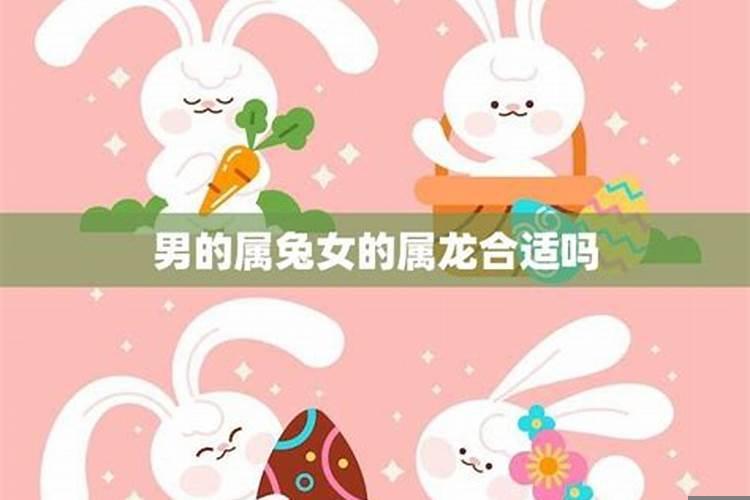 女兔跟男牛属相婚配如何