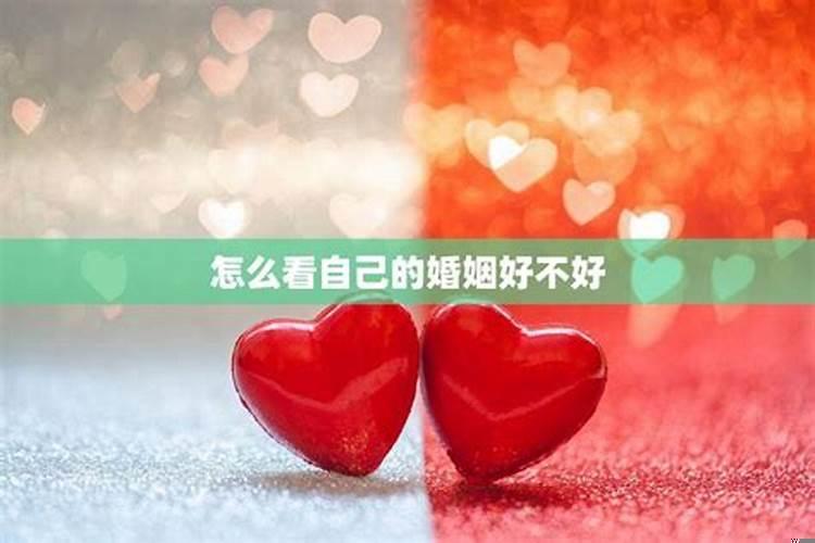 怎么样的婚姻